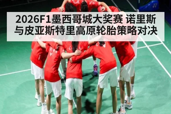 2026F1墨西哥城大奖赛 诺里斯与皮亚斯特里高原轮胎策略对决